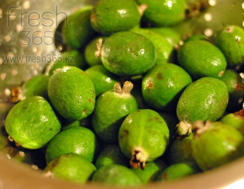 Фейхоа / Feyoa