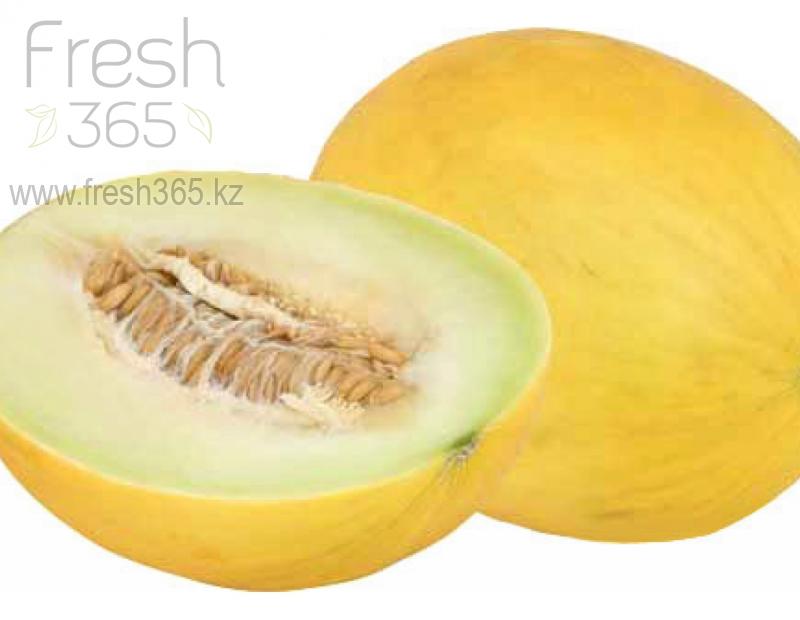 Дыня медовая желтая / Melons Honey Dew Yellow