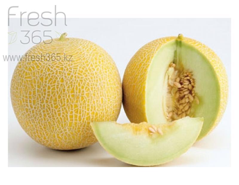 Дыни Галия / Melons Galia