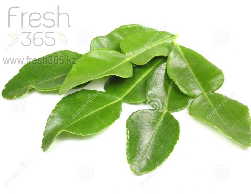Листья лайма свежие / Lime Leaves Fresh