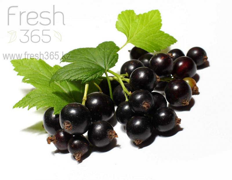 Смородина черная / Black Currant