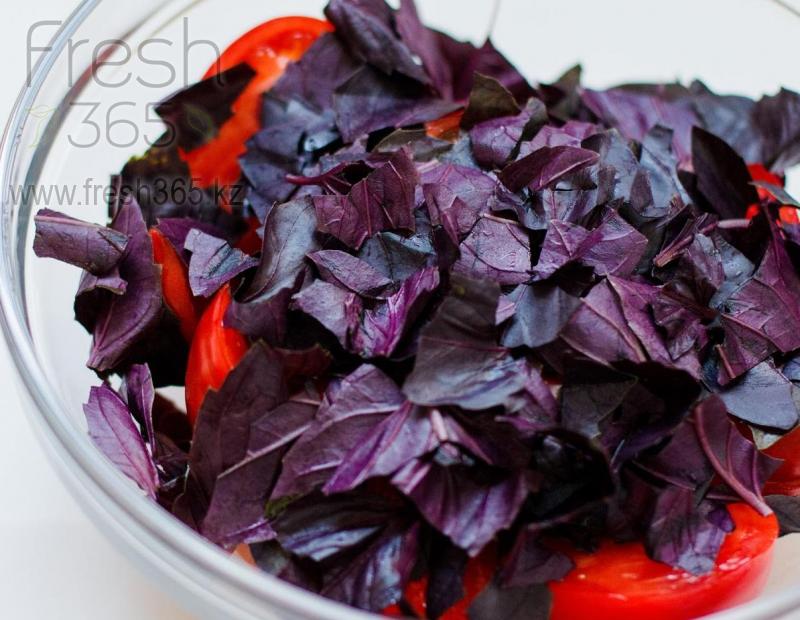 Базилик красный / Red basil
