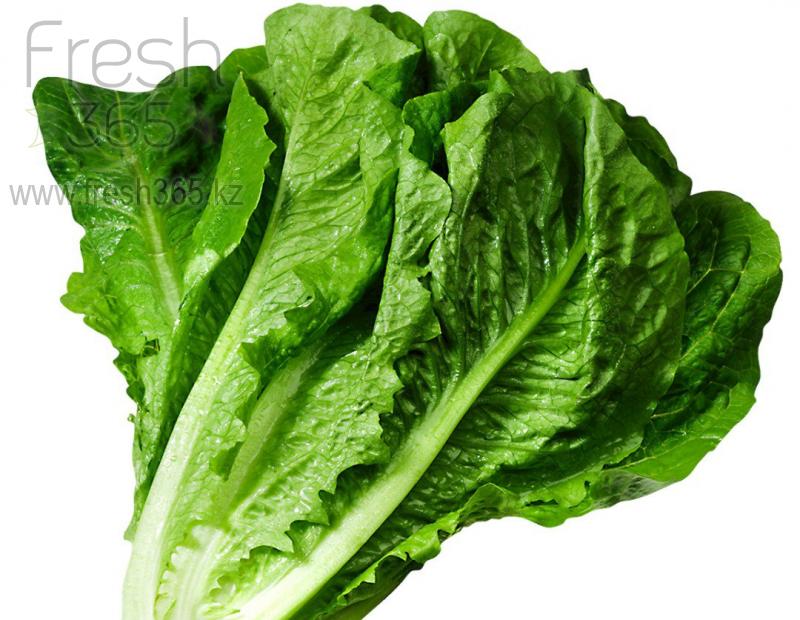 Романо Lucas / Romain Lucas