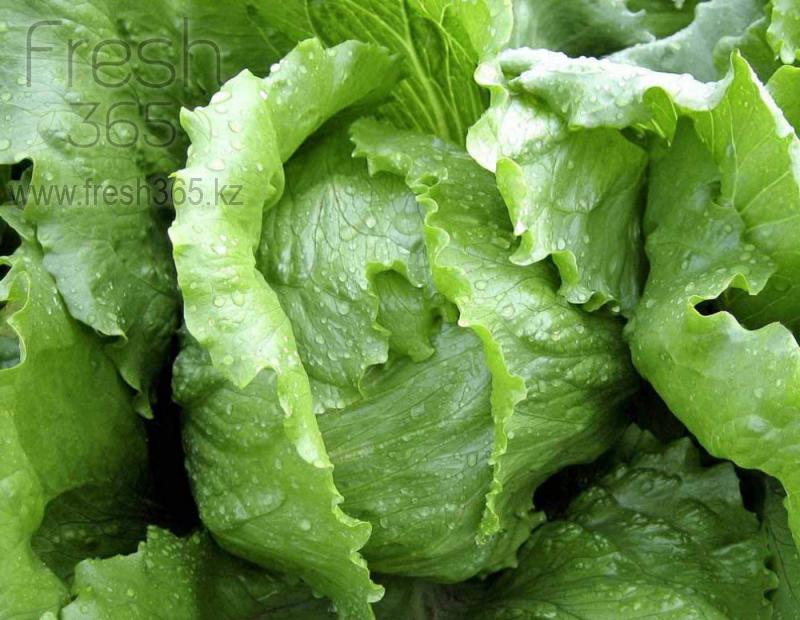 Айсберг / Iceberg