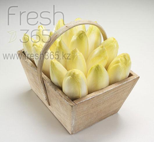 Цикорий белый / White Endive