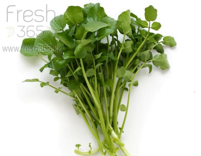 Водяной Кресс / Water Cress