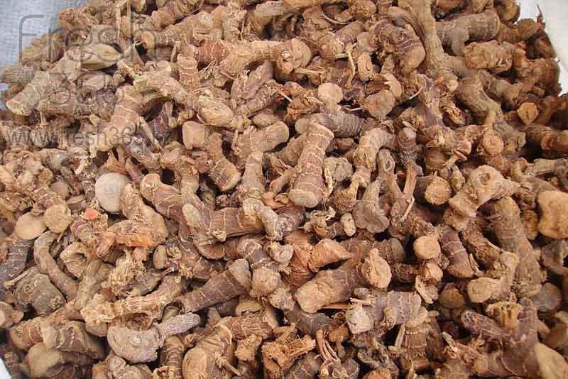 Корень галангал / Galanga Root