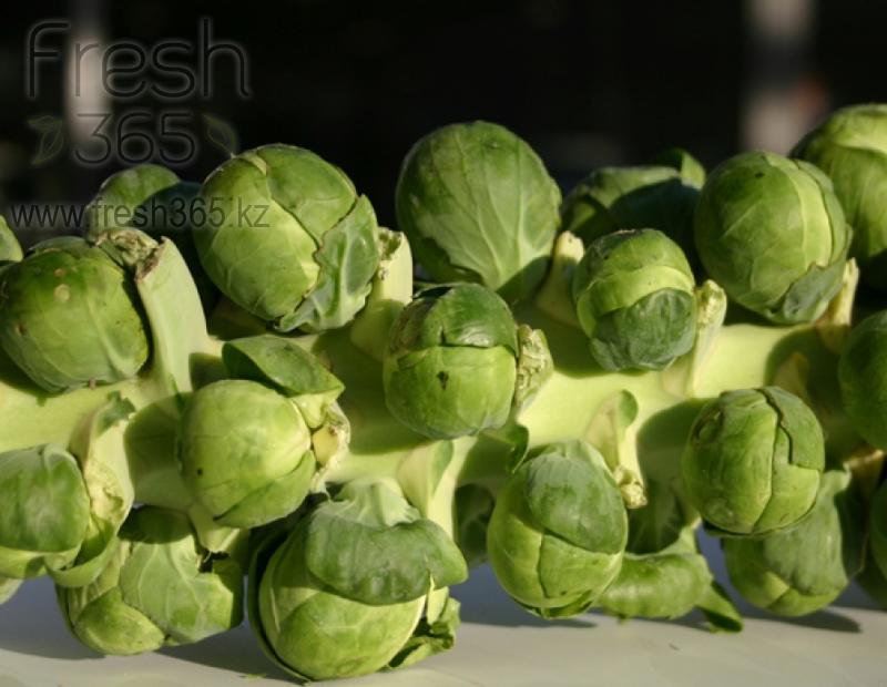 Брюссельская капуста / Brussel Sprouts