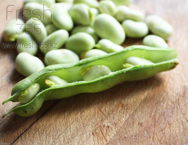 Бобы (фасоль фава) / Fava