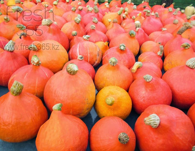 Тыква Хоккайдо / Pumpkin Hokkaido