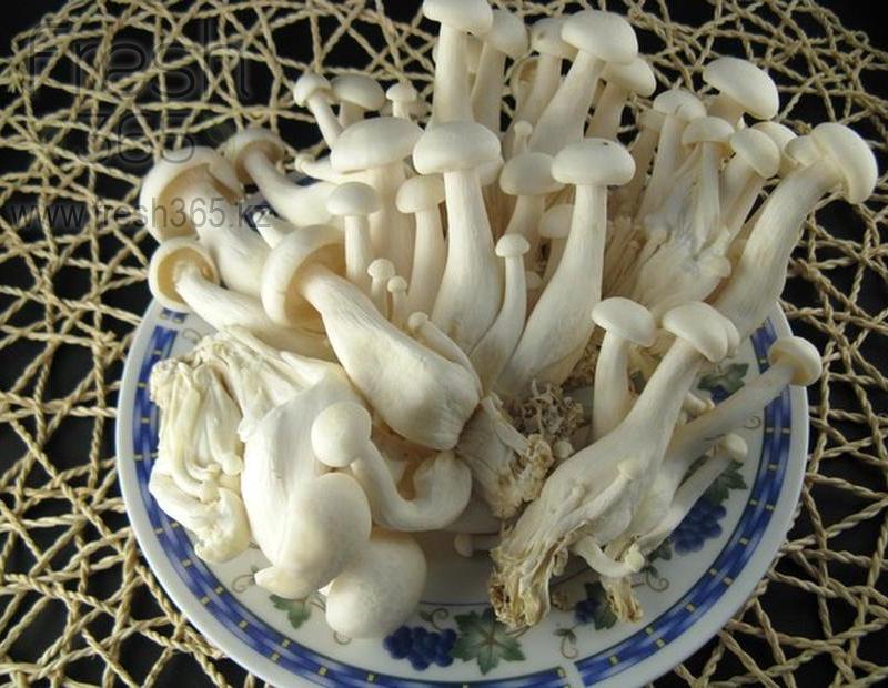 Шимиджи белые / Mushrooms Shimiji White