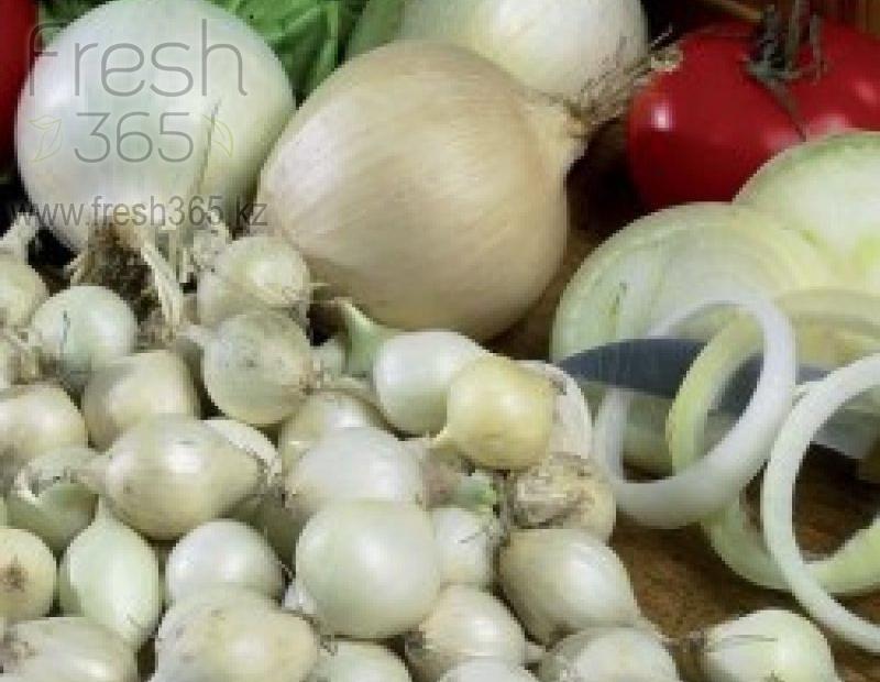 Бейби белый лук / Baby White Onion