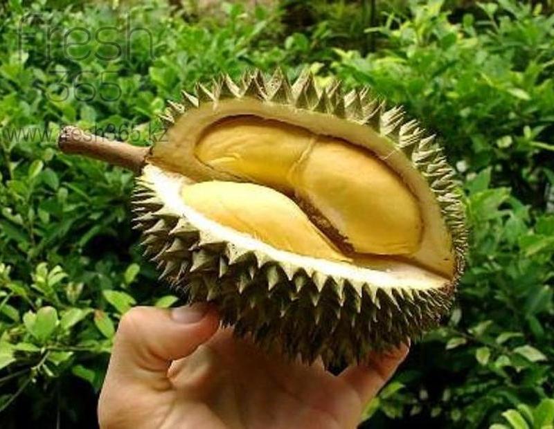 Дуриан / Durian
