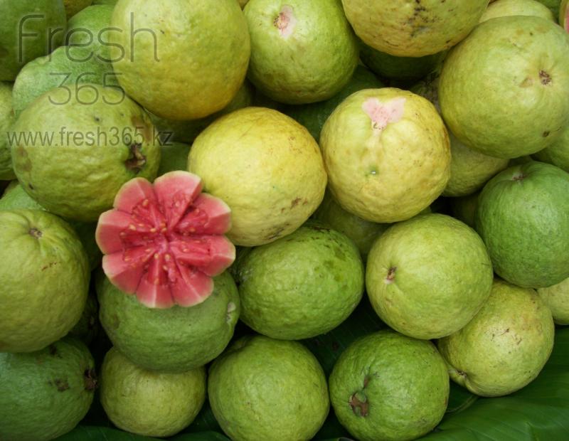 Гуава / Guave