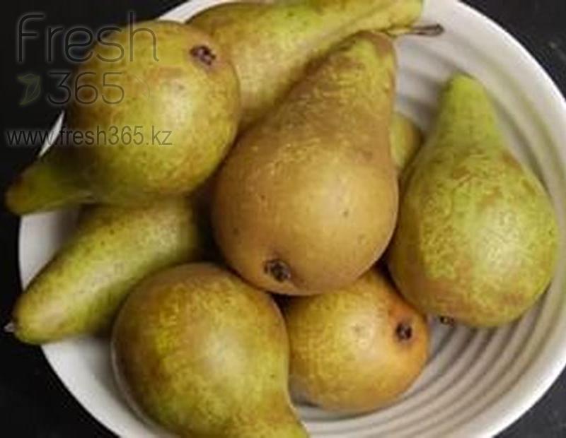 Груши Конференс / Pears Conference