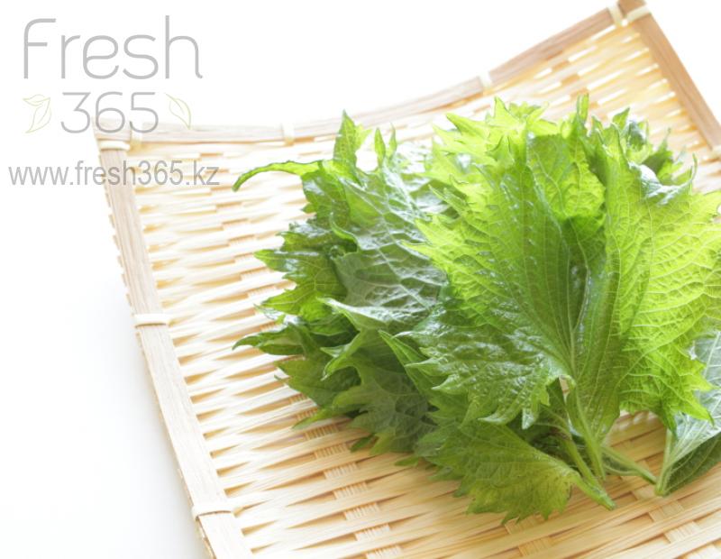 Листья Шиссо Микс (Перилла) / Shiso Leaves Mix