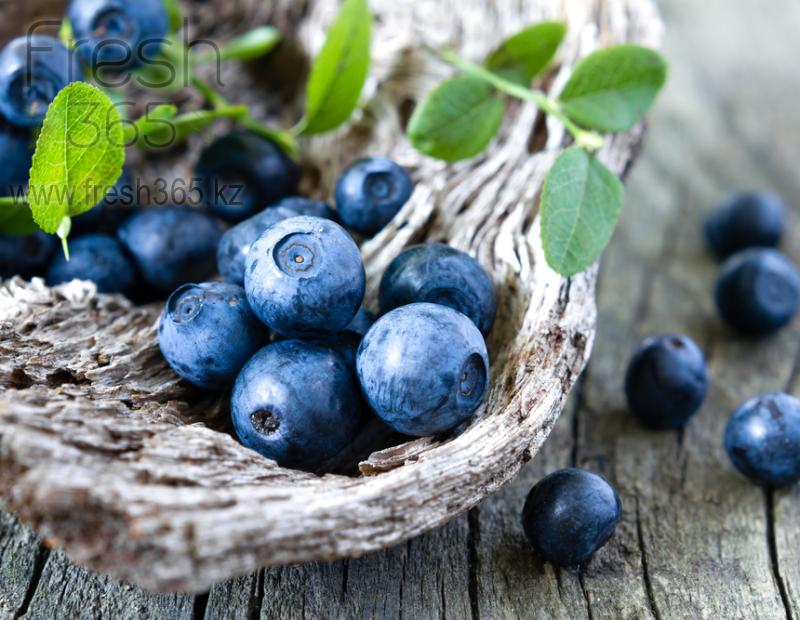 Голубика / Blueberry
