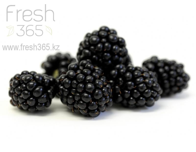Ежевика / Blackberry