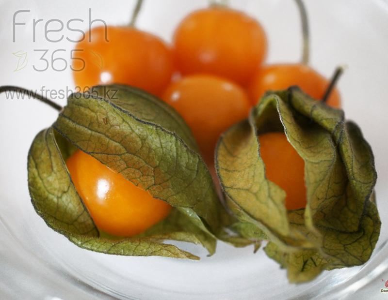 Физалис / Physalis