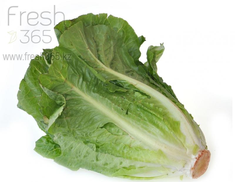 Романо Lucas / Romain Lucas