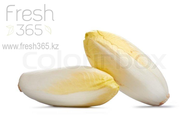 Цикорий белый / White Endive