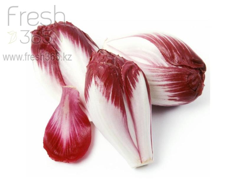 Цикорий красный / Red endive