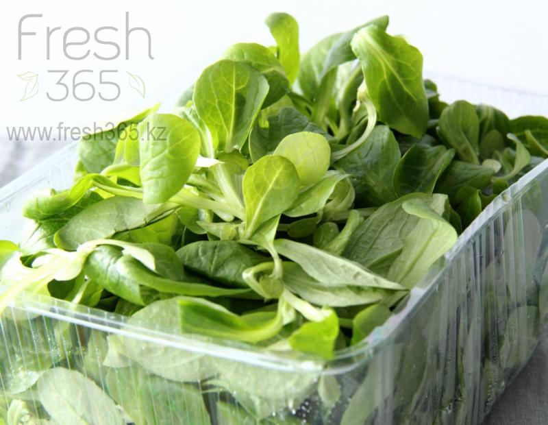 Бейби листья Корна / Mache baby leaves