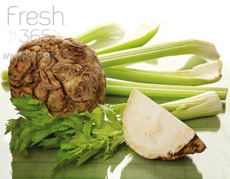 Корень сельдерея / Celery Root