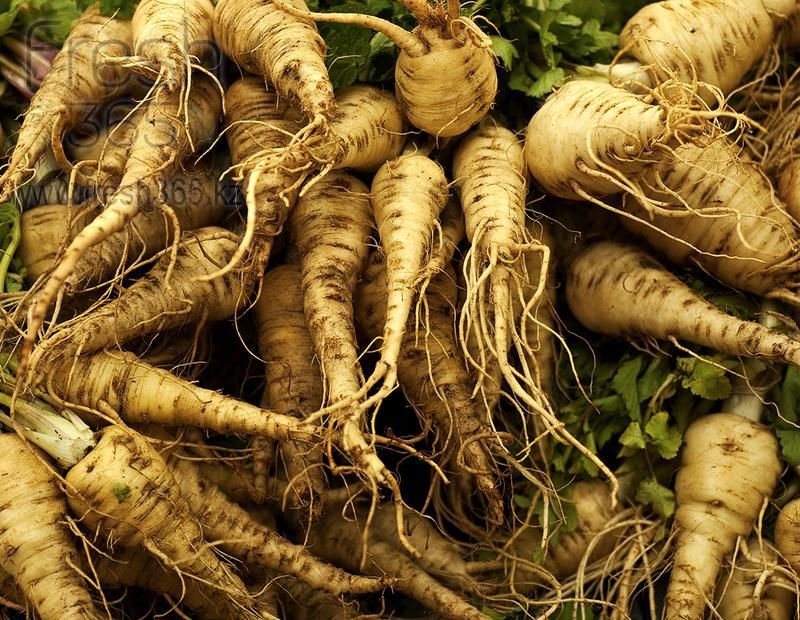 Корень пастернак / Parsnip Root