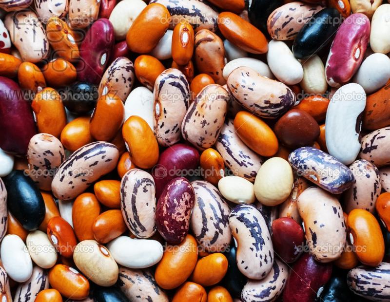 Фасоль росыпью / Haricots loose