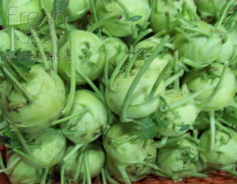 Кольраби / Kohlrabi