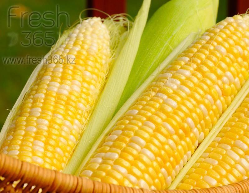 Кукуруза Сладкая / Sweetcorn