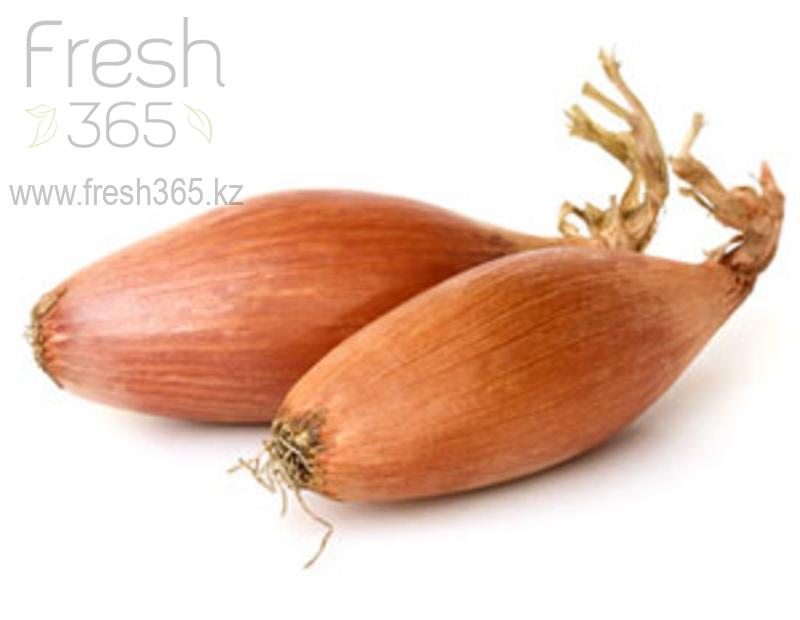 Лук Шалот / Shalot Onion