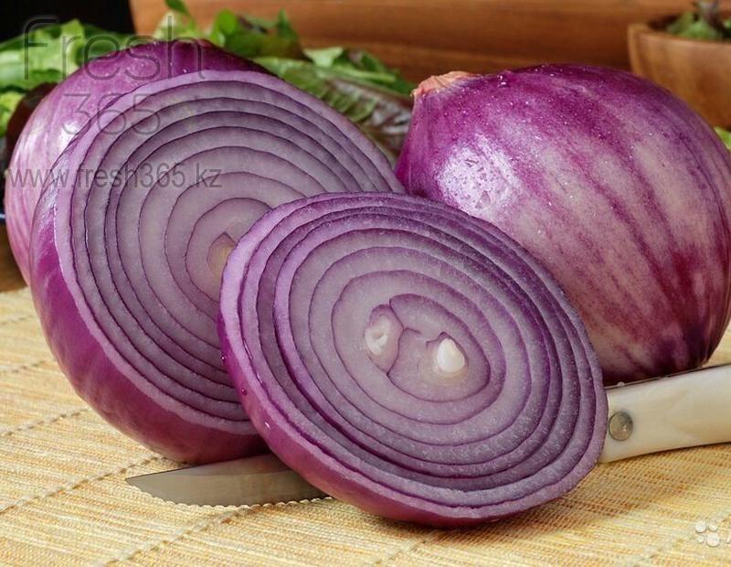 Красный лук / Red Onion