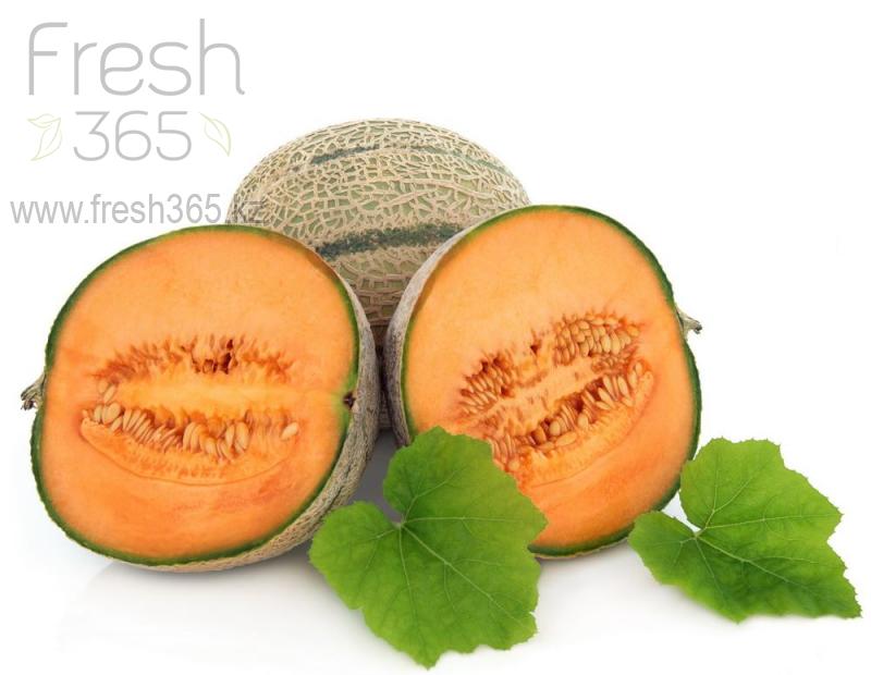 Дыни кантулапа / Melons Cantaloup