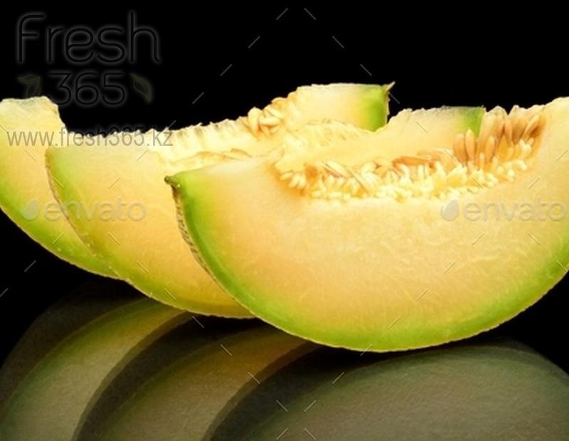 Дыни Галия / Melons Galia