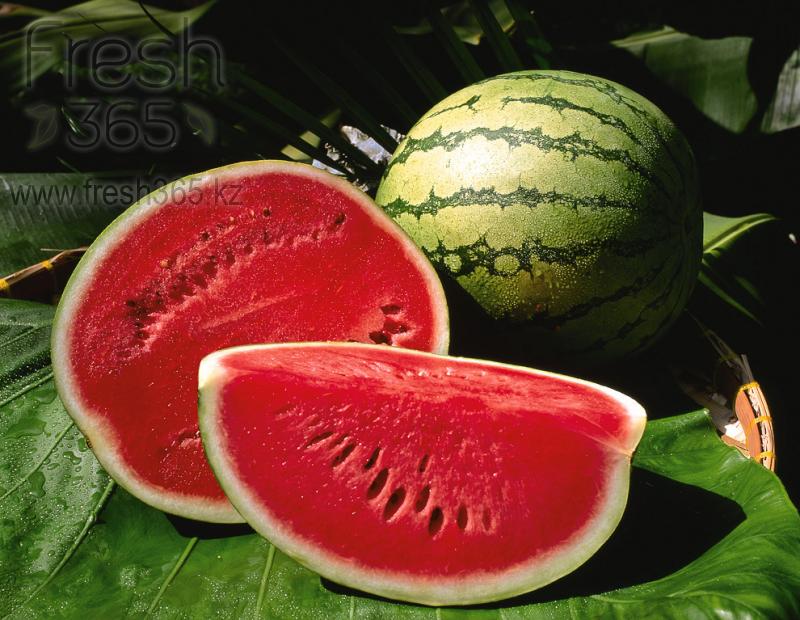 Арбуз / Watermelon