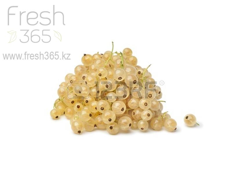 Смородина белая / White Currant