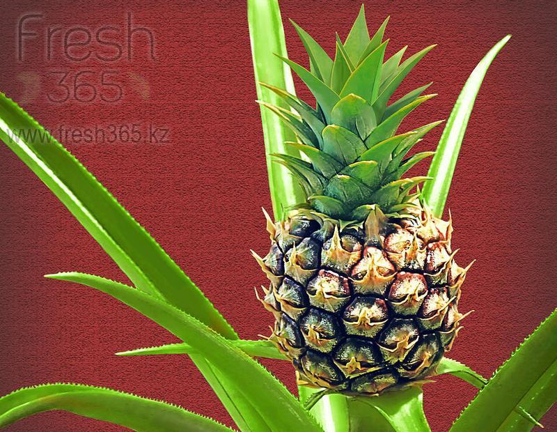 Ананасы / Baby Pineapples