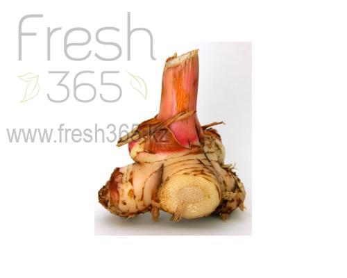 Корень галангал / Galanga Root | fresh365 - свежая зелень и ягоды ...