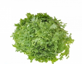 
Фризе зеленое / Frisee Green
