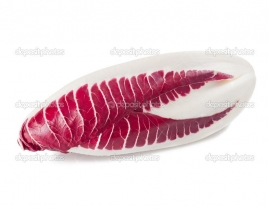 
Цикорий красный / Red endive
