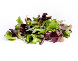 
Бейби листья Микс Месклун / Mix Mesclun baby leaves
