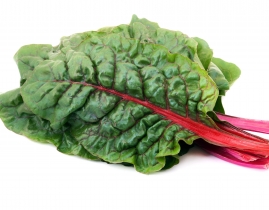 
Бейби листья Мангольда / Red Chard baby leaves
