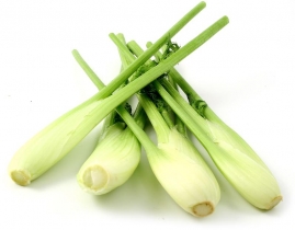 
Бейби фенхель / Baby Fennel
