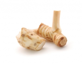 
Корень галангал / Galanga Root
