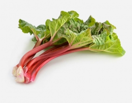 
Ревень большой / Rhubarb Large
