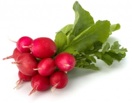 
Редис / Radish
