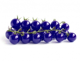 
Черри фиолетовые / Cherry Purple
