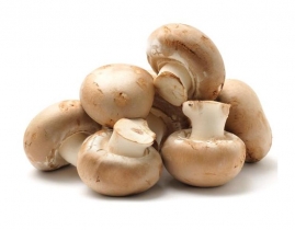 
Грибы коричневые каштановые / Mushroom Brown (chestnut)
